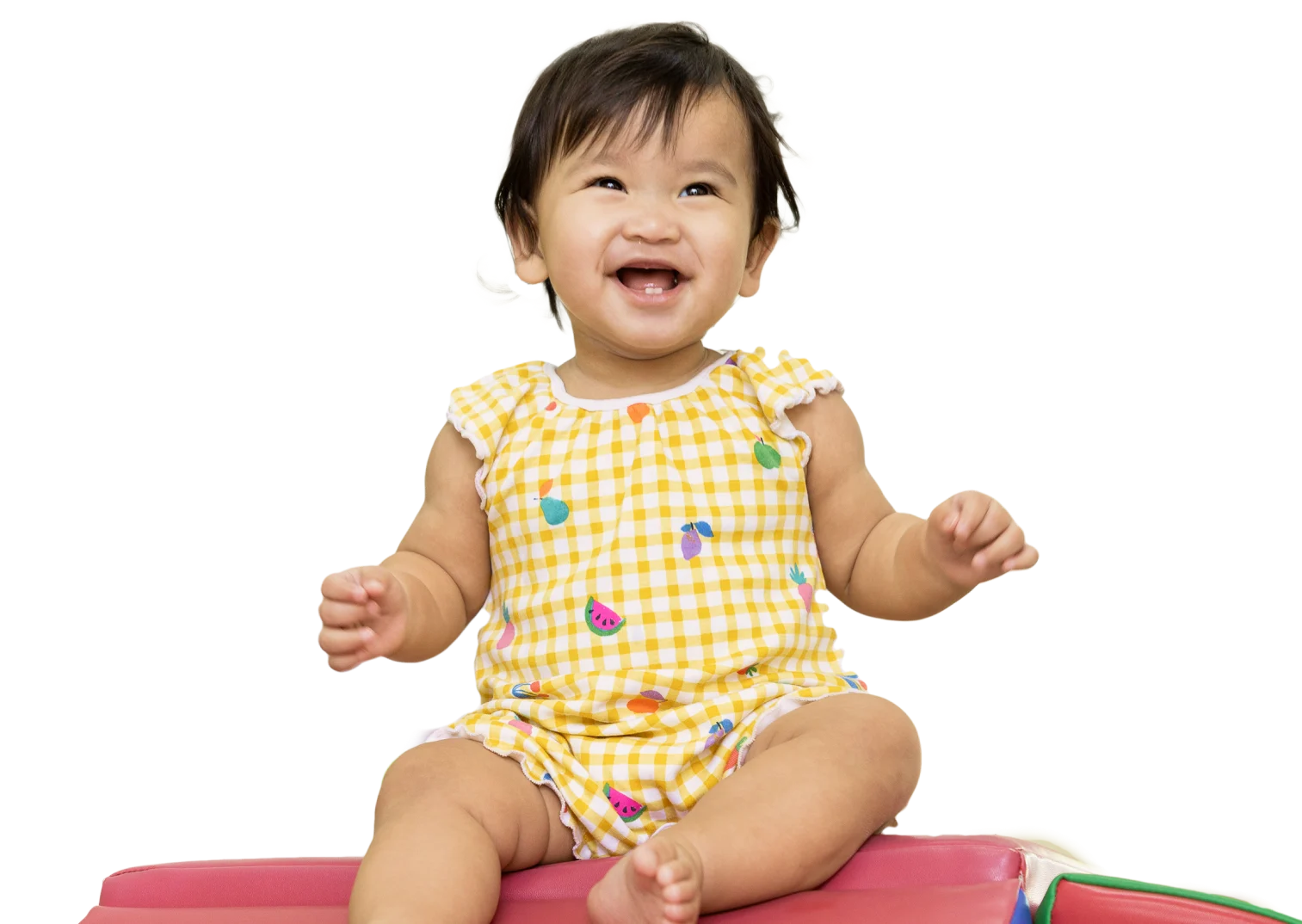 NZPR9951 1 e1735030809104